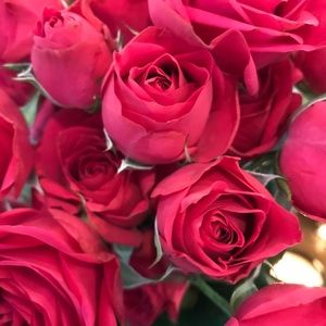 Meet your Posher, Ash